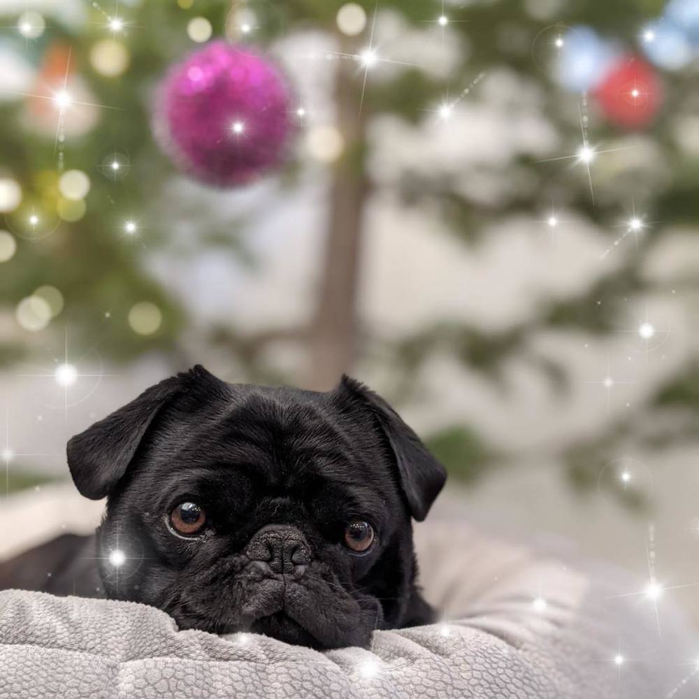 Meet your Posher, Tiffany-justin